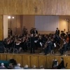 Koncert orkiestry w ramach muzyki klasycznej 2013-5